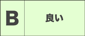 外観ランク